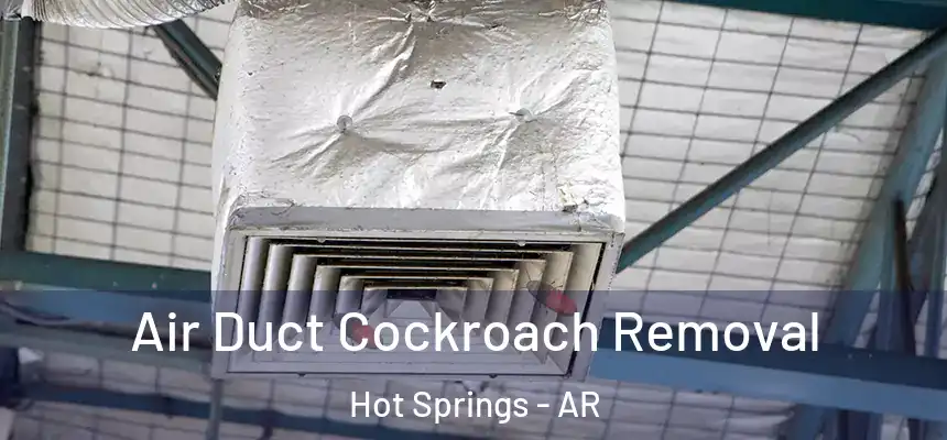  Air Duct Cockroach Removal Hot Springs - AR