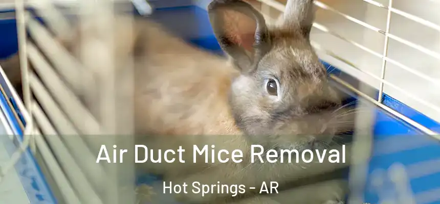  Air Duct Mice Removal Hot Springs - AR