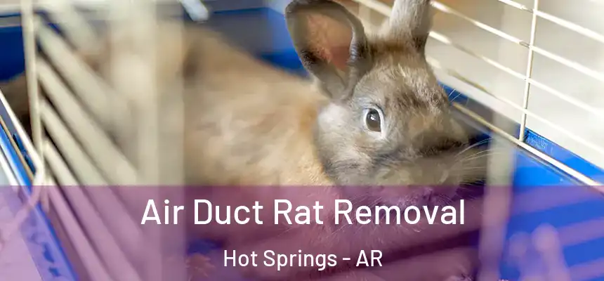  Air Duct Rat Removal Hot Springs - AR