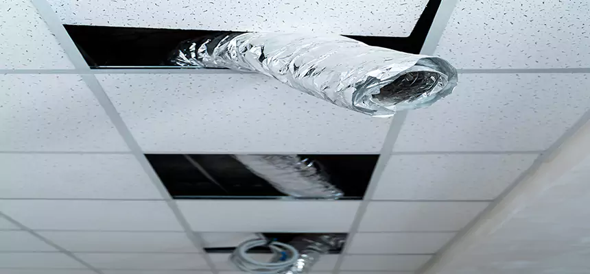 Our Air Duct Pet Hair Removal Services in Hot Springs, AR