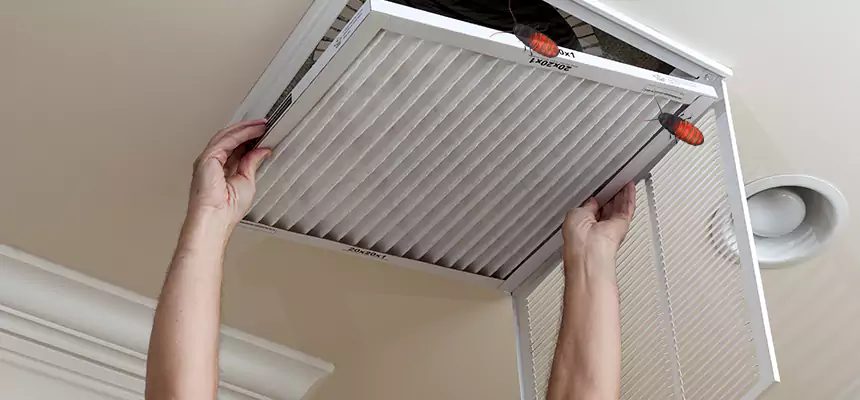 Our Insect Removal from Air Ducts Services in Hot Springs, AR