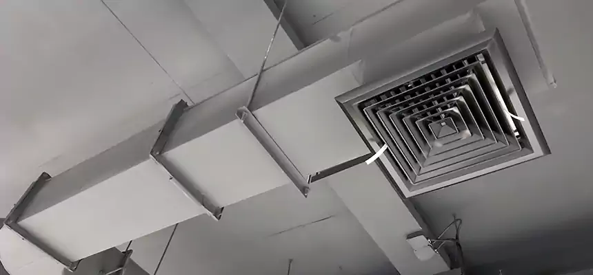 Our Pest Removal From Ducts Services in Hot Springs, AR