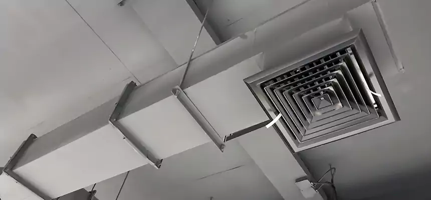 Our Rodent Droppings In Vents Services in Hot Springs, AR