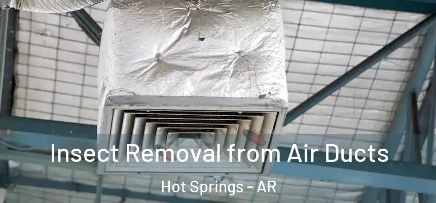  Insect Removal from Air Ducts Hot Springs - AR