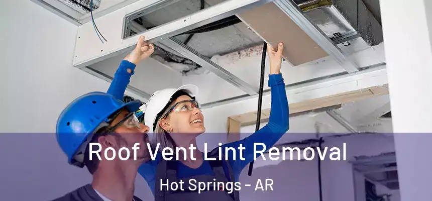  Roof Vent Lint Removal Hot Springs - AR