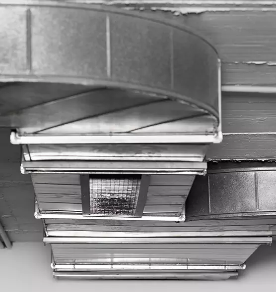 Professional Air Duct Pest Removal in Hot Springs, AR