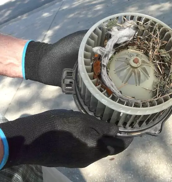 About Air Duct Rat Removal in Hot Springs, AR