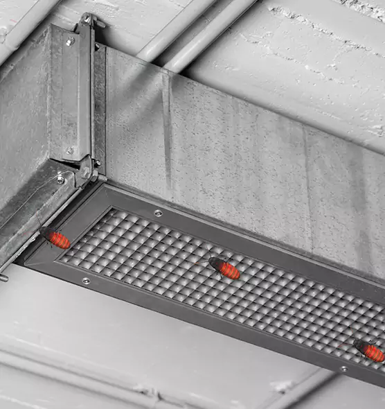 Affordable Insect Removal from Air Ducts in Hot Springs, AR