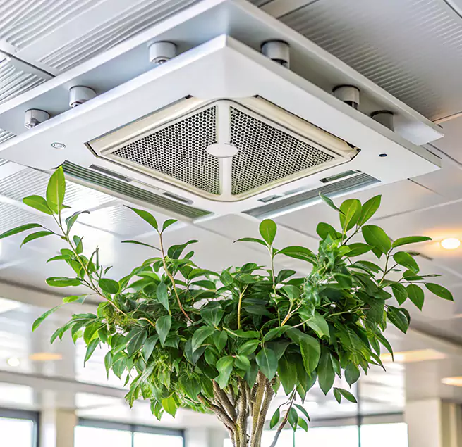 Why Homeowners & Businesses Trust Us in Hot Springs, AR?